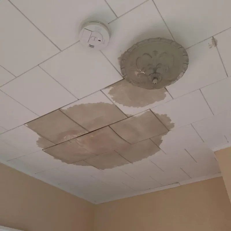 Ceiling Water Damage Repair in Little Flock, AR