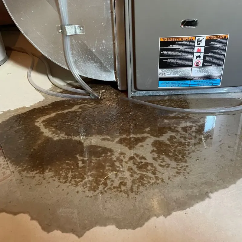 Pipe Burst and Leak Restoration in Little Flock, AR