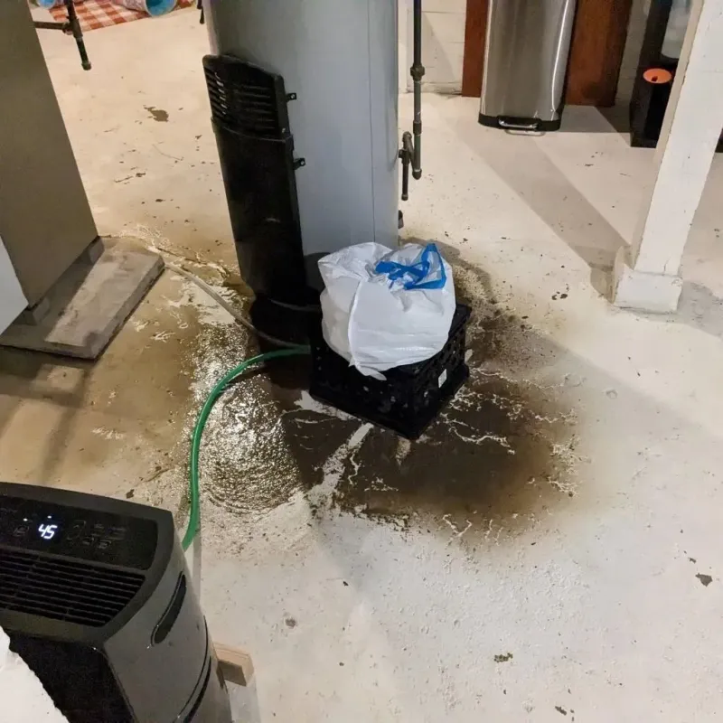 Sewage Backup Cleanup Service in Little Flock, AR